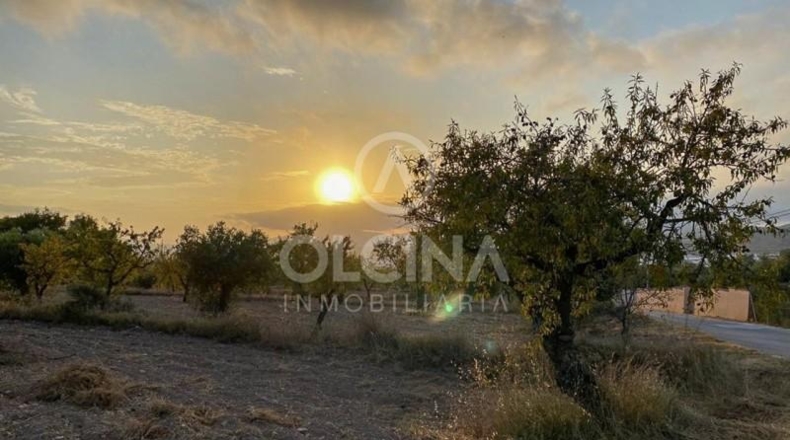 Alicante - Ibi - 15884m2