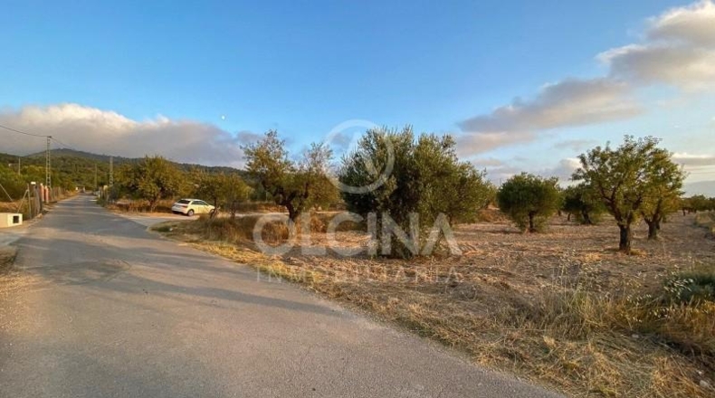 Alicante - Ibi - 15884m2