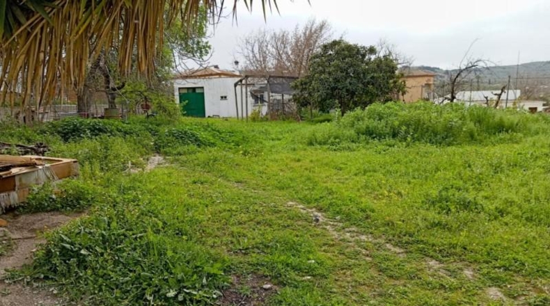 Córdoba - Lucena - 1337m2