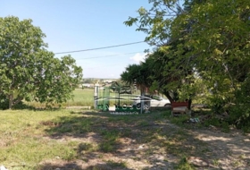 Foto 15