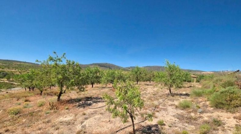 Granada - Albuñuelas - 4752m2
