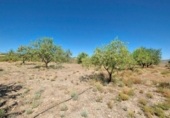 Xalet independent amb terreny en venda a la España, Albuñuelas, ref.: TR302659 foto