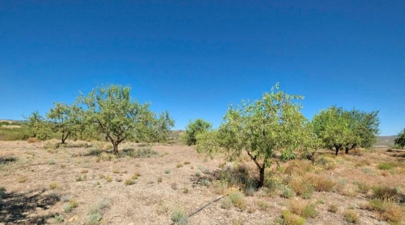 Granada - Albuñuelas - 4752m2