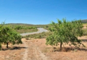 Xalet independent amb terreny en venda a la España, Albuñuelas, ref.: TR302659 foto