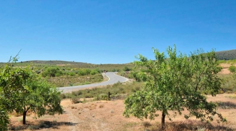 Granada - Albuñuelas - 4752m2