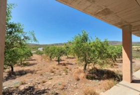 Foto 16