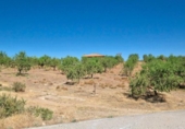 Xalet independent amb terreny en venda a la España, Albuñuelas, ref.: TR302659 foto