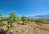 Xalet independent amb terreny en venda a la España, Albuñuelas, ref.: TR302659 foto