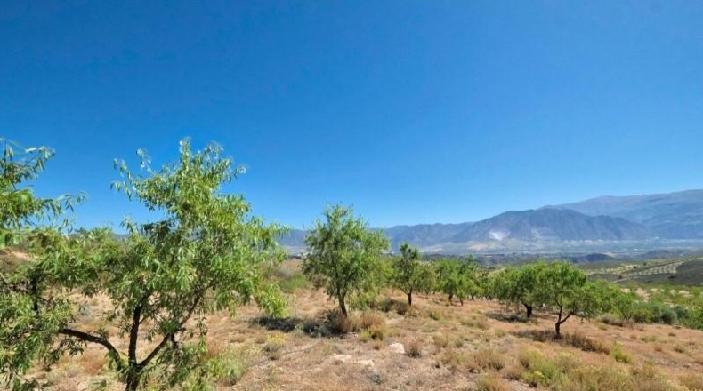 Granada - Albuñuelas - 4752m2