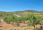 Xalet independent amb terreny en venda a la España, Albuñuelas, ref.: TR302659 foto