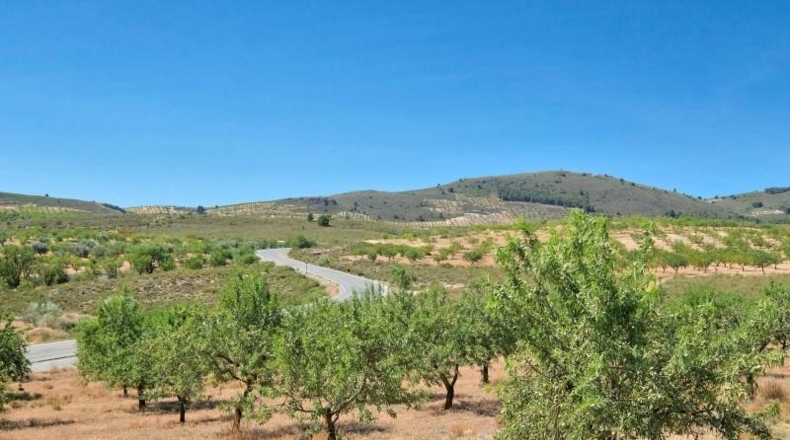 Granada - Albuñuelas - 4752m2