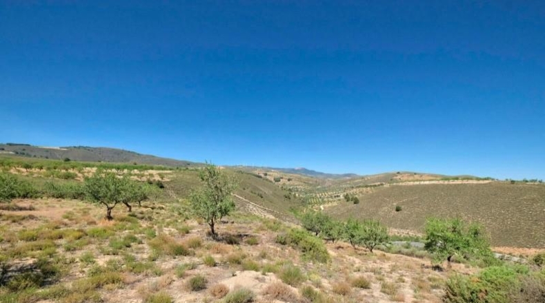 Granada - Albuñuelas - 4752m2