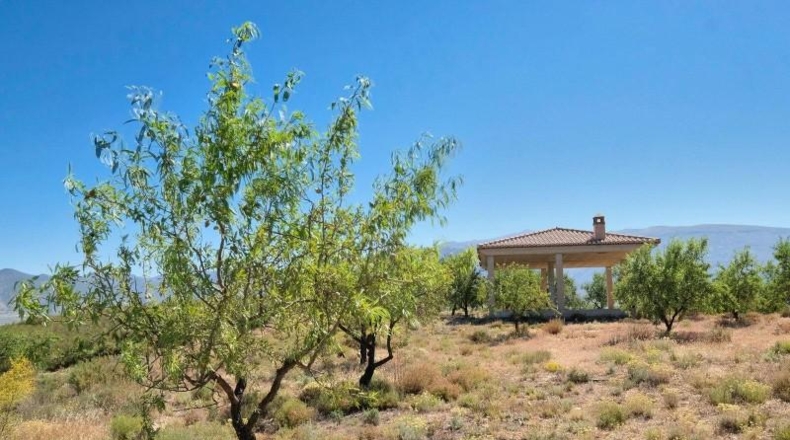 Granada - Albuñuelas - 4752m2