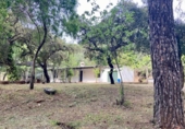Casa de camp amb terreny en venda a la España, Còrdova, ref.: TR296393 foto