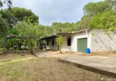 Casa de camp amb terreny en venda a la España, Còrdova, ref.: TR296393 foto