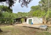 Casa de camp amb terreny en venda a la España, Còrdova, ref.: TR296393 foto