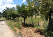 Urban land for sale on España, Cacabelos, ref: TR114172 photo