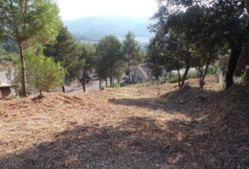 Avinyó 989&nbsp;m²
