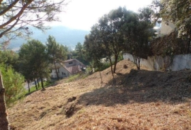 Avinyó 989&nbsp;m²