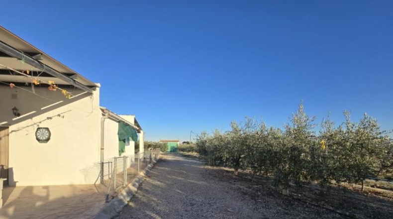 Murcia - Alguazas - 3346m2