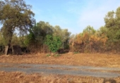 Land suitable for development for sale on España, Gibraleón, ref: TR119141 photo