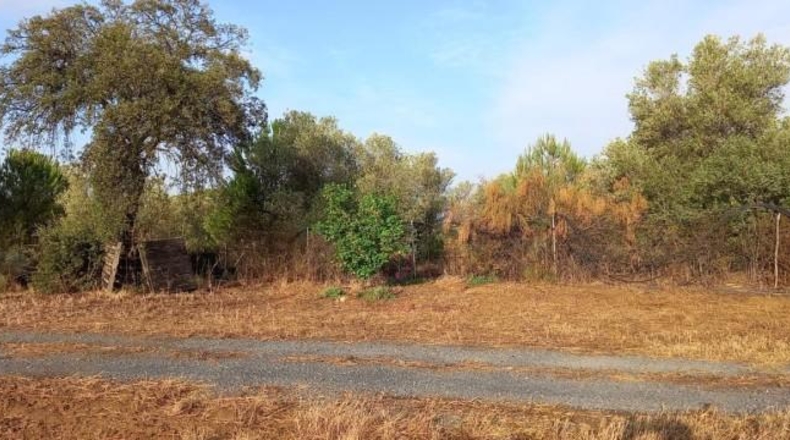 Huelva - Gibraleón - 20000m2