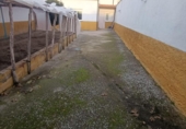 Casa de pueblo en venta en la España, Macotera, ref: TR364637 foto