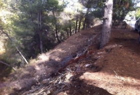 Foto 8