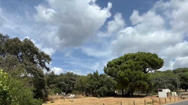 Córdoba - Córdoba - 3000m2