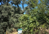 Urban land for sale on España, Córdoba, ref: TR170515 photo