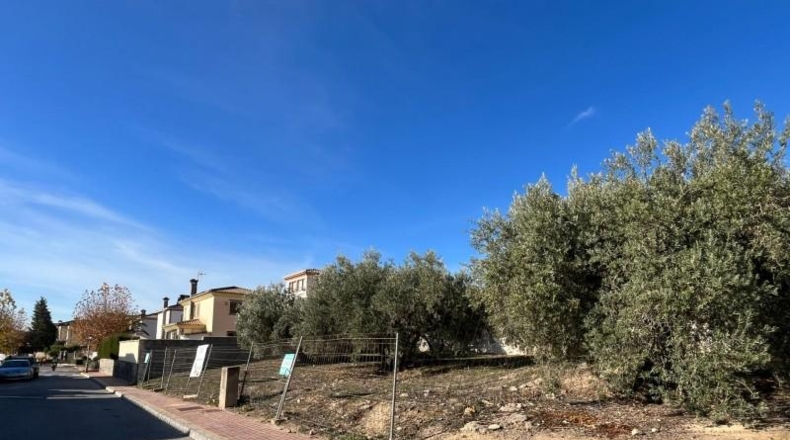 Granada - Albolote - 449m2