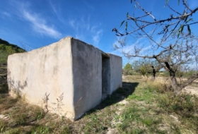 Foto 12