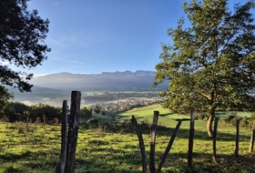 Sopeñano 7000&nbsp;м²