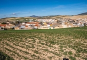 Parcela urbanizable en venta en la España, Guadahortuna, ref: TR396564 foto