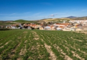 Parcela urbanizable en venta en la España, Guadahortuna, ref: TR396564 foto