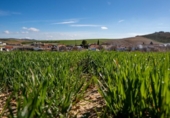 Parcela urbanizable en venta en la España, Guadahortuna, ref: TR396564 foto
