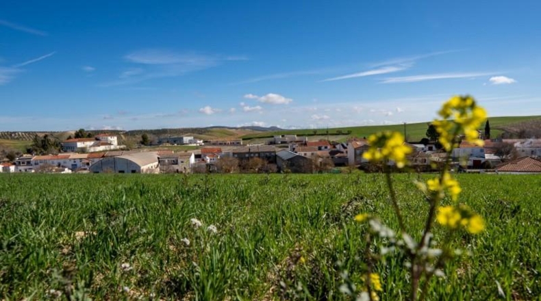 Granada - Guadahortuna - 300m2