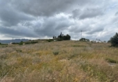 Casa de campo con terreno en venta en la España, Abanilla, ref: TR405778 foto