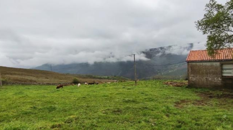 Cantabria - Carrascal de San Miguel - 14539m2