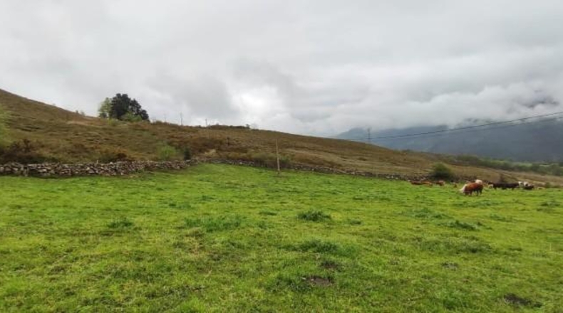 Cantabria - Carrascal de San Miguel - 14539m2