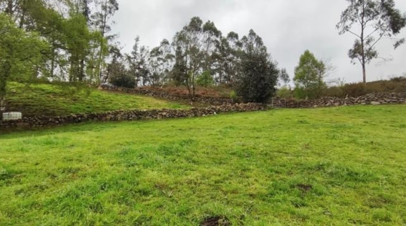 Cantabria - Carrascal de San Miguel - 14539m2