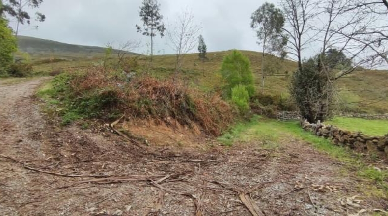 Cantabria - Carrascal de San Miguel - 14539m2