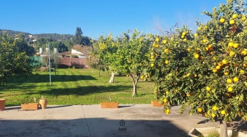 Córdoba - Córdoba - 1500m2