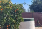 Casa de camp amb terreny en venda a la España, Encinarejo de Córdoba, ref.: TR292396 foto