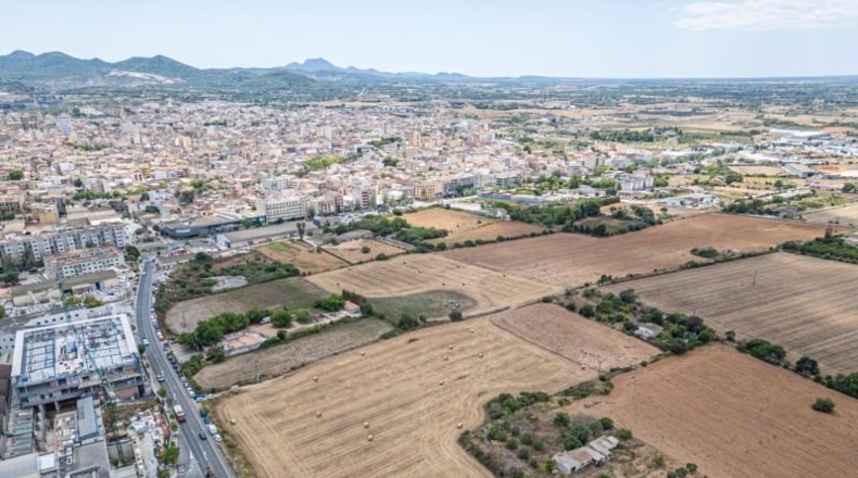 Illes Balears - Palma - 12000m2