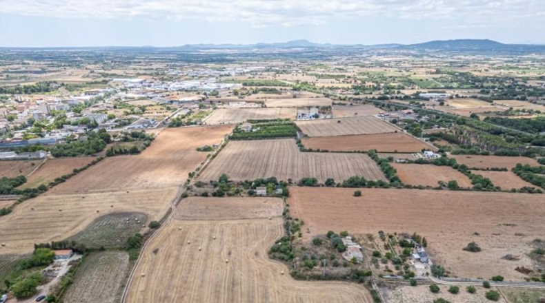 Illes Balears - Palma - 12000m2