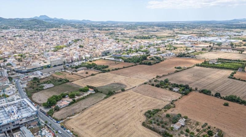 Illes Balears - Palma - 12000m2
