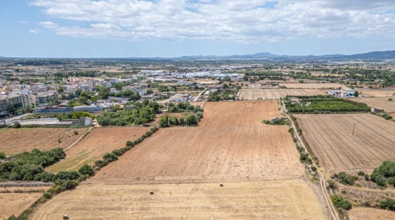 Illes Balears - Palma - 12000m2