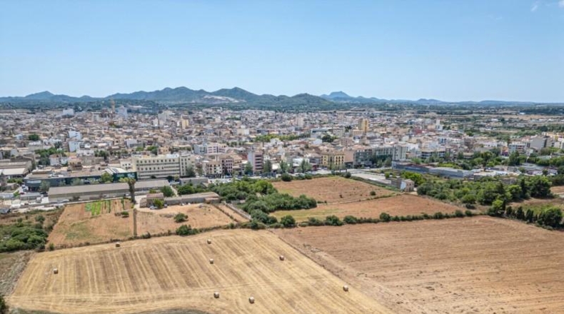 Illes Balears - Palma - 12000m2