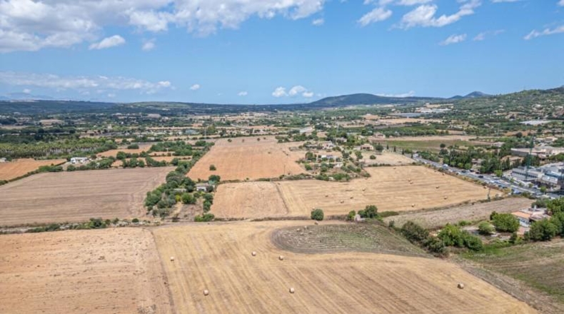 Illes Balears - Palma - 12000m2